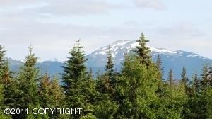 1005 East End Road, Homer, AK 99603