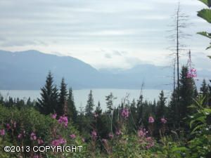 L2 Marimac Avenue, Homer, AK 99603