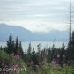 L2 Marimac Avenue, Homer, AK 99603 ID:6887412