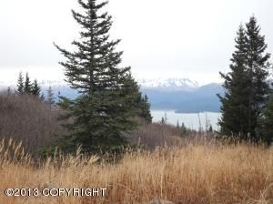 36487 Wild Haven Road, Homer, AK 99603