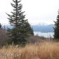 36487 Wild Haven Road, Homer, AK 99603 ID:6888214