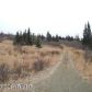 36487 Wild Haven Road, Homer, AK 99603 ID:6888222