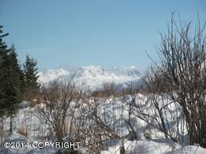 39165 SUCHAVIEW Road, Homer, AK 99603