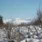 39165 SUCHAVIEW Road, Homer, AK 99603 ID:6887442