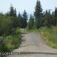 41039 Laramie Circle, Homer, AK 99603 ID:6940840