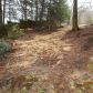 130 Tanasee Gap Rd, Balsam Grove, NC 28708 ID:7491324