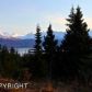 53760 Kilcher Road, Homer, AK 99603 ID:6889556