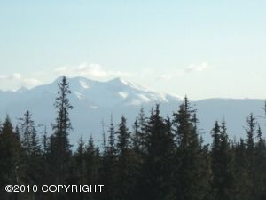 L2 Nimbus Avenue, Homer, AK 99603