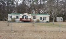 11 Broomstraw Trace Ellabell, GA 31308