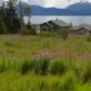 885 Soundview Avenue, Homer, AK 99603 ID:6887716