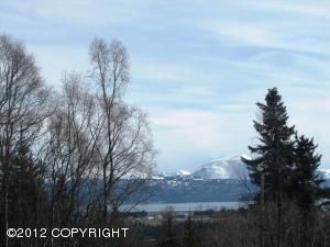 1950 E End Road, Homer, AK 99603