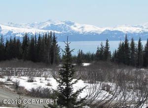 Tr 1 Skyline Drive, Homer, AK 99603