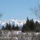 Tr 1 Skyline Drive, Homer, AK 99603 ID:6888405