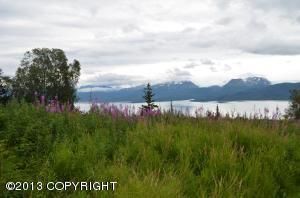 L4 Hubbard Lane, Homer, AK 99603