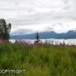 L4 Hubbard Lane, Homer, AK 99603 ID:6887978