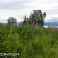 L4 Hubbard Lane, Homer, AK 99603 ID:6887984