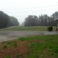 1555 Elliott Family Parkway, Dawsonville, GA 30534 ID:7186516