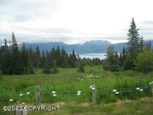 50375 E End Road, Homer, AK 99603