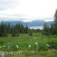 50375 E End Road, Homer, AK 99603 ID:6891898