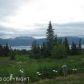 50375 E End Road, Homer, AK 99603 ID:6891900