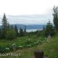 50375 E End Road, Homer, AK 99603 ID:6891899