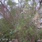 2961 W Autumn Breeze, Tucson, AZ 85742 ID:1653621