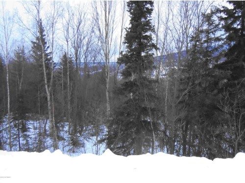 L9 B3 Stonehill, Eagle River, AK 99577