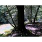 370 Bearfoot Drive, Blue Ridge, GA 30513 ID:7571810