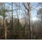 140 Hunting Hills Drive, Cleveland, GA 30528 ID:7629623