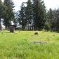 18428 Melon Street SW, Rochester, WA 98579 ID:7587782