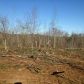 0 Camp Branch Off Road, Ellijay, GA 30540 ID:6483308