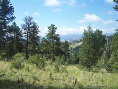 6 Pine Valley Road, Pine, CO 80470