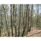 5 Black Mountain Road, Dahlonega, GA 30533 ID:7479184