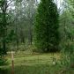 12896 Rices Crossing Rd, Oregon House, CA 95962 ID:1145229