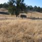 35055 Rough Rider Way, Raymond, CA 93653 ID:1140927