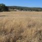 35055 Rough Rider Way, Raymond, CA 93653 ID:1140928