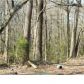 900 Taylor Road, Hartselle, AL 35640 ID:7491472