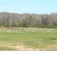 900 Taylor Road, Hartselle, AL 35640 ID:7491474