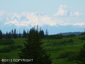 L1 Lookout Ridge Avenue, Homer, AK 99603