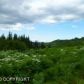 L1 Lookout Ridge Avenue, Homer, AK 99603 ID:6887859