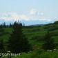 L1 Lookout Ridge Avenue, Homer, AK 99603 ID:6887860