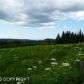 L1 Lookout Ridge Avenue, Homer, AK 99603 ID:6887861