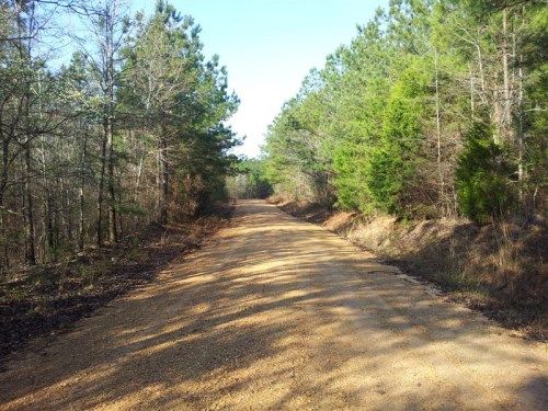 0 Olen Mills Rd, Guin, AL 35563