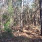 0 Olen Mills Rd, Guin, AL 35563 ID:7612130