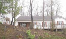 164 Riverwood Dr Blue Ridge, GA 30513