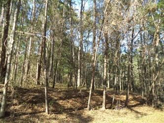 Lot 3 Audubon Drive, Tallahassee, FL 32312