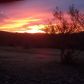 12800 W Arivaca Road, Amado, AZ 85645 ID:2460873