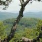 5543 Black Bear Trail, Jasper, GA 30143 ID:3541194