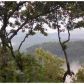 5543 Black Bear Trail, Jasper, GA 30143 ID:3541196