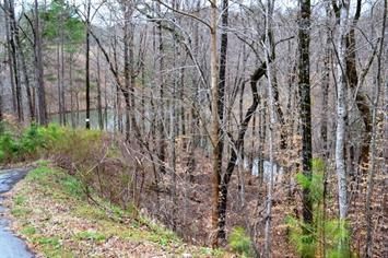 Cliffs Fs Towne Landing Lt 22, Salem, SC 29676